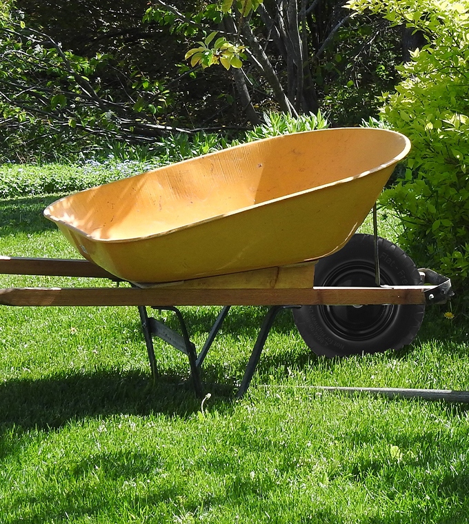 Wheelbarrow in a garden